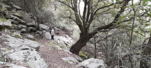 Passeggiata al Santuario delle Farfalle con Legambiente sulle orme di boscaioli e pastori