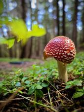 La Foto del Giorno (7 ott.)