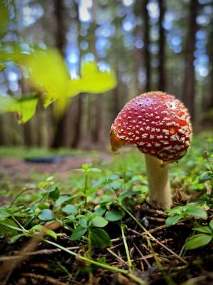 La Foto del Giorno (7 ott.)