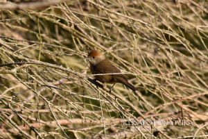 La Foto del Giorno (2 feb.)