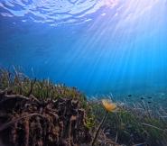 La Foto del Giorno (29 nov.)