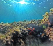 La Foto del Giorno (25 dic.)