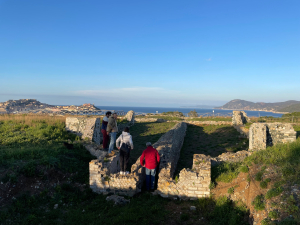Suini selvatici e danni al patrimonio archeologico e culturale