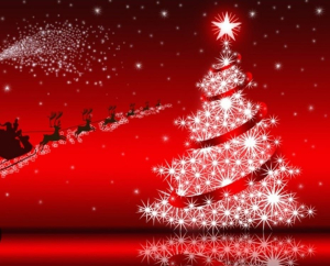 Il 7 dicembre a Cavo l'accensione dell’Albero di Natale