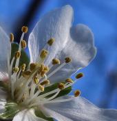 La Foto del Giorno (29 gen.)