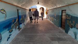 La volta d’Alarcon diventa ….un acquario