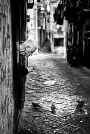 "Visto in strada - incontri immortalati al volo”. La Foto della Settimana è di Gianni Galli