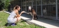 Reperibilità Veterinaria H24, serve subito!