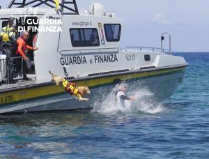 Isola del Giglio: attività addestrativa congiunta GdF e Scuola Italiana Cani di Salvataggio