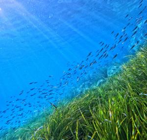 La Foto del Giorno (21 nov.)