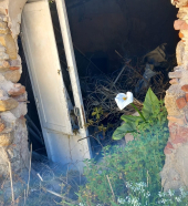 Fotonotizia: Il fiore tra le macerie