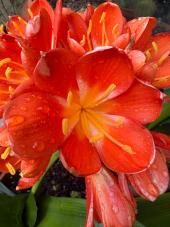 La Foto del Giorno (18 mar.)