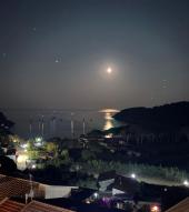 La Foto del Giorno (15 giu.)