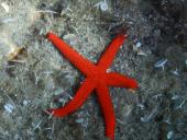 La Foto del Giorno (19 giu.)