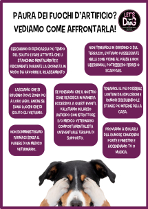 Cani e fuochi d'artificio - i consigli di Let's Dog per proteggere i nostri animali
