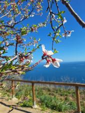 La Foto del Giorno (25 feb.)