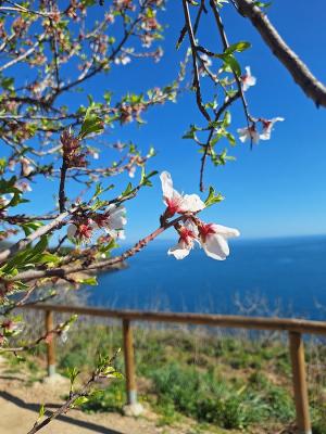 La Foto del Giorno (25 feb.)