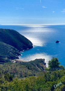 La Foto del Giorno (7 mar.)