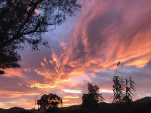 La Foto del Giorno (19 ott.)