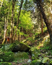 Foto di Alessio Gambini
