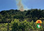 Incendio boschivo a Rio nell'Elba, fiamme sotto controllo