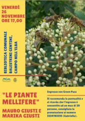 Appuntamento in biblioteca con Mauro e Marika Giusti che racconteranno delle piante mellifere