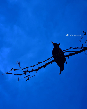 La Foto del Giorno (18 apr.)