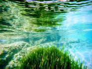 La Foto del Giorno (2 sett.)