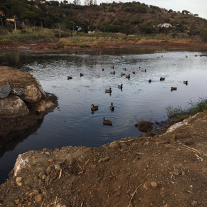 All&#039;Elba, una Pasqua da Biowatcher con Legambiente