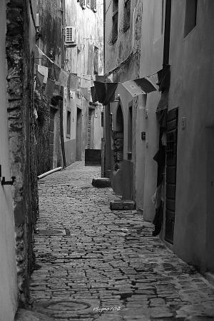 La Foto del Giorno (10 feb.)