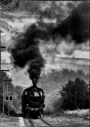 “Nero come…” - La Foto della Settimana è di Donatella Testi