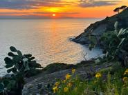 La Foto del Giorno (10 apr.)