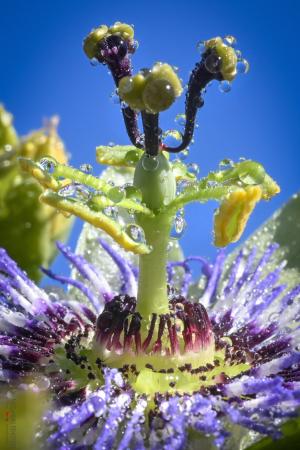 La Foto del Giorno (15 apr.)