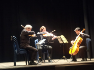 Presentato il 26° Festival Musicale. Esclusi Yuri Bashmet e 'Solisti di Mosca'