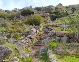 Percorso esperenziale api-vinicolo nell’isola del Giglio