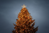 Oggi l'accensione dell'Albero di Natale a Bagnaia