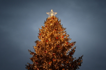 Oggi l'accensione dell'Albero di Natale a Bagnaia