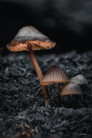 La Foto del Giorno (28 nov.)