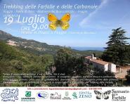 Il 19 luglio trekking della Farfalle e delle carbonaie