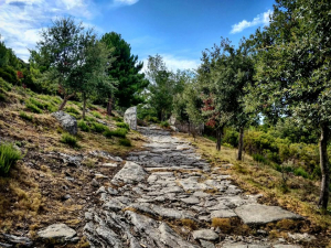 Giornata nazionale dell’escursionismo, camminata da Marciana a Chiessi con il CAI Elba