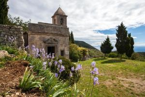 Visita guidata all’Orto dei Semplici Elbano con Francesco Marino