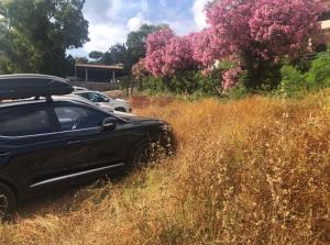 Procchio problemi di viabilità, parcheggi e immagine