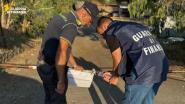GdF: la sezione operativa navale di Portoferraio sequestra un'area di 8mila MQ adibita a discarica a Piombino