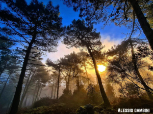 La Foto del Giorno (31 gen.)