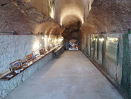 Riapre finalmente l'Enoteca delle Fortezze Medicee