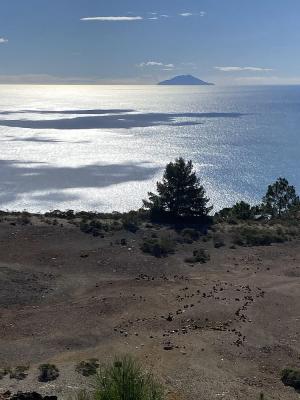 La Foto del Giorno (24 feb.)