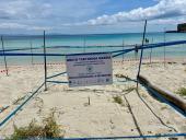 Eccezionale nidificazione di tartaruga marina a Pianosa