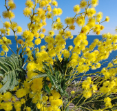 8 Marzo: per favore, non chiamiamola “festa”