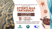 Attenti alla Tartaruga! Il 16 giugno a Mola
