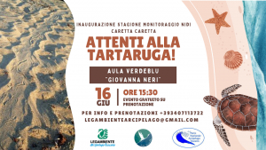 Attenti alla Tartaruga! Il 16 giugno a Mola